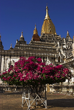 Ananda Pahto (temple) built around 1105 by King Kyanzittha, old Bagan, Bagan (Pagan), Myanmar (Burma), Asia