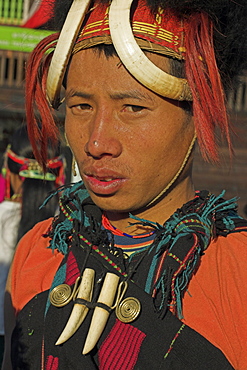 Naga man wearing tiger teeth necklace and headdress of woven cane decorated with wild boar teeth, bear fur, red dyed goats hair, Naga New Year Festival, Lahe village, Sagaing Division, Myanmar (Burma), Asia