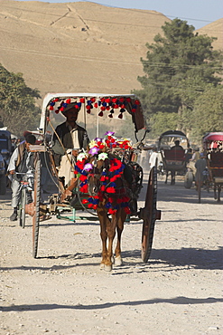 Colourful horse cart, Maimana, Faryab Province, Afghanistan, Asia