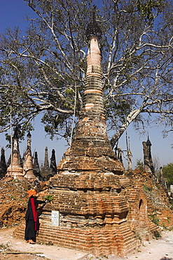 Pa-O guide pulling weeds out of a stupa, Kakku Buddhist Ruins, a site of over two thousand brick and laterite stupas, some dating back to the 12th century, Shan State, Myanmar (Burma), Asia