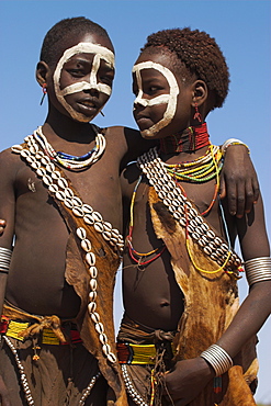 Two Hamer (Hamar) girls wearing traditional goat skin dress decorated with cowie shells, Dombo Village, Turmi, Lower Omo Valley, Ethiopia, Africa