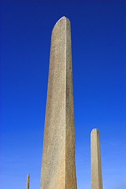 Northern Stelae Park, Aksum, Ethiopia, Africa