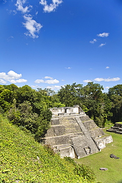 Plaza A Temple, Mayan ruins, Caracol, Belize, Central America