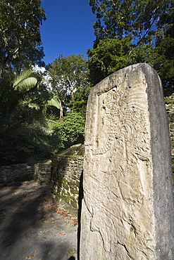 Stela 9 erected in AD 625 to commemorate the accession of Lord Smoking Shell in 608, shown in ceremonial regalia, Lamanai, Belize, Central America