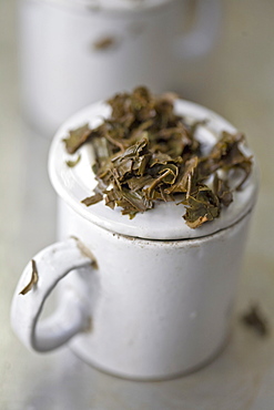 Tea tasting, Factory, Goomtee Tea Estate, Kurseong, West Bengal, India, Asia