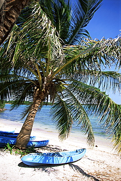 Beach with palm tree and kayak, Punta Soliman, Mayan Riviera, Yucatan peninsula, Mexico, North America