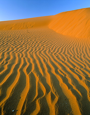 Sand dunes, dune sea, Sesriem, Namib Naukluft Park, Namibia, Africa