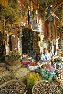 Apothecary stall in Rahba Kedima, The Medina, Marrakech, Morroco, North Africa, Africa