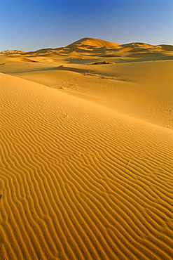 Dunes of the Erg Chebbi, Sahara Desert near Merzouga, Morocco, North Africa