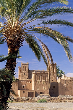 Kasbah Amridi, framed by palm fronds, Dades Valley near Skoura, Morocco, North Africa, Africa