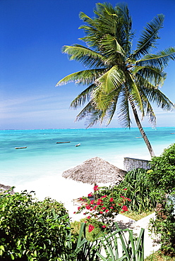 View through palm trees towards beach and Indian Ocean, Jambiani, island of Zanzibar, Tanzania, East Africa, Africa