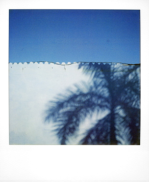 Polaroid of shadow of palm tree on painted blue wall, Plaza Mayor, Trinidad, Cuba, West Indies, Central America