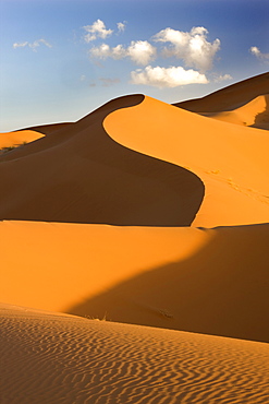 Rolling orange sand dunes and sand ripples in the Erg Chebbi sand sea near Merzouga, Morocco, North Africa, Africa