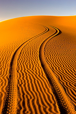 Fresh tyre tracks left by 4x4 recreational vehicle in the pristine sands of the Erg Chebbi sand sea near Merzouga, Morocco, North Africa, Africa