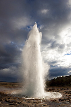 Water spout from Strokkur Geysir exploding into the sky on a stormy evening, near Reykjavik, Iceland, Polar Regions