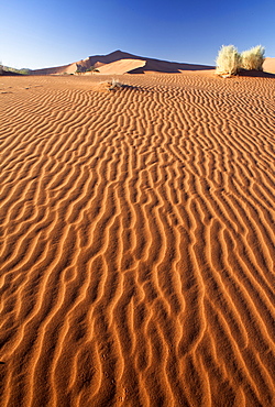 Sand Ripples on one of the ancient orange dunes of the Namib Desert at Sossusvlei, near Sesriem, Namib Naukluft Park, Namibia, Africa