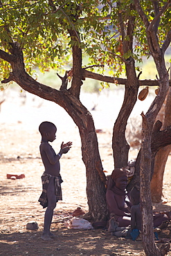 Young Himba boy standing in the shade of a tree in semi-silhouette, Kunene Region (formerly Kaokoland) in the far north of Namibia