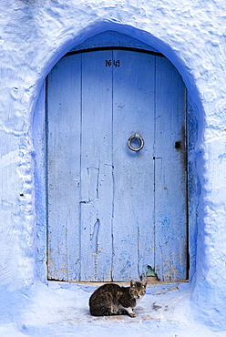 Blue door and wall in the old town of Chefchaouen (Chaouen) (The Blue City), Morocco, North Africa, Africa