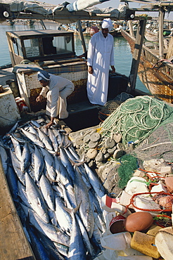 Men on fishing boat with catch, Qatar, Middle East