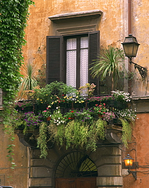 Window display near Piazza Navona, Rome, Lazio, Italy, Europe