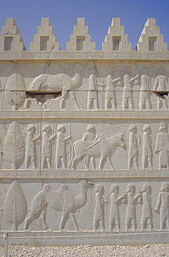 Parade of nations carving, Apadana Palace staircase, archaeological site, Persepolis, Iran, Middle East, Asia