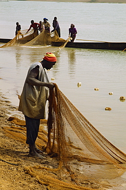 Fisherman pulling net ashore, Niger River, Mali, West Africa, Africa