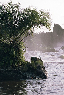 Chutes de la Lobe, Kribi, west coast, Cameroon, Africa