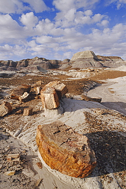 Blue Mesa, Petrified Forest National Park, Arizona, USA