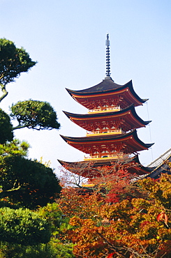 Five storey pagoda, Miyajima, Japan