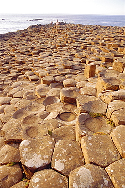 Giant's Causeway, County Antrim, Northern Ireland, UK, Europe