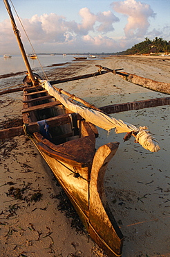 Bamburi Beach, north coast, Mombasa, Kenya, East Africa, Africa