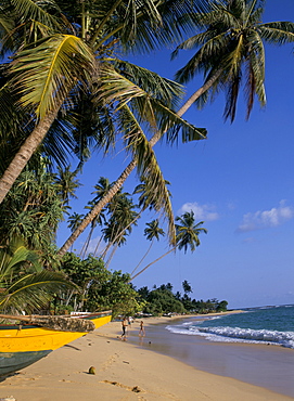 Palm trees and beach, Unawatuna, Sri Lanka, Asia