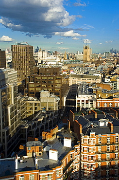 Westminster skyline cityscape, London, England, United Kingdom, Europe