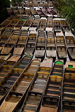 Punts, Oxford, Oxfordshire, England, United Kingdom, Europe