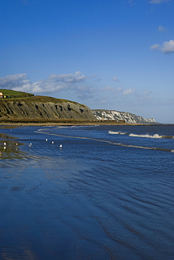 Folkestone Beach, Kent, England, United Kingdom, Europe