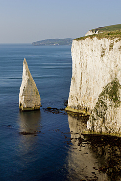 Studland Head and Bay Pinnacle, Jurassic Coast, UNESCO World Heritage Site, Dorset, England, United Kingdom, Europe