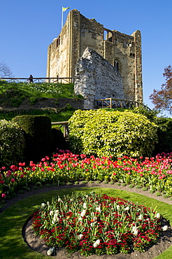 Spring flowers in ornamental beds decorate Guildford Castle, Guildford, Surrey, England, United Kingdom, Europe