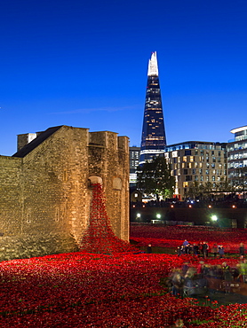 Ceramic poppies forming the installation Blood Swept Lands and Seas of Red to remember the Dead of the First World War, Tower of London at dusk, London, England, United Kingdom, Europe