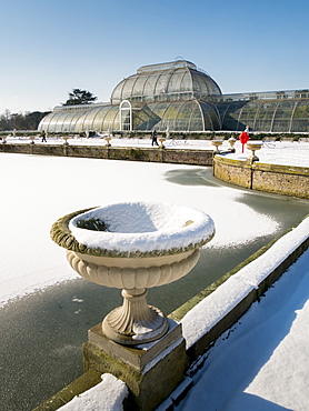 Palm House in winter, Kew Gardens, UNESCO World Heritage Site, London, England, United Kingdom, Europe