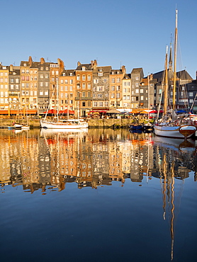 Honfleur old port, Calvados, Normandy, France, Europe