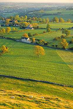 Thorpe Cloud, Dovedale, Peak District National Park, Derbyshire, England, UK