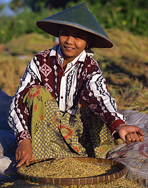 Harvesting processing, Lombok, Indonesia, Southeast Asia, Asia