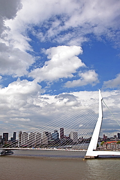 The Erasmus Bridge (The Swan) across the New Meuse River, Rotterdam, Netherlands, Europe