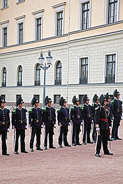 Line of Royal Guards at the Royal Palace, Oslo, Norway, Scandinavia, Europe