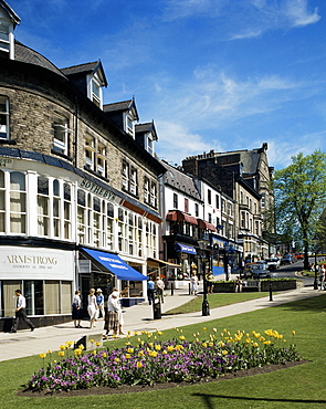 Harrogate, Yorkshire, England, United Kingdom, Europe