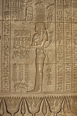 Relief carving of offerings being made, Temple of Hathor, Dendera, Egypt, North Africa, Africa