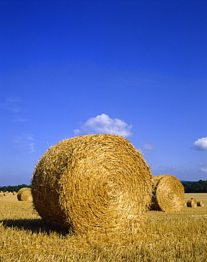 Straw bales in a field after harvesting at Barns Green in Sussex, England, United Kingdom, Europe