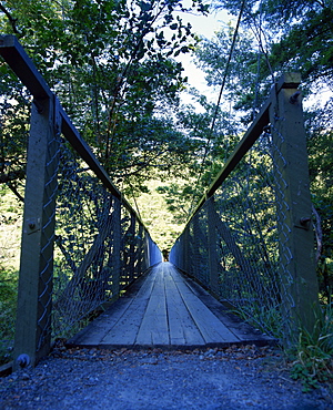 Wooden bridge in the Peloris Reserve, Marlborough Sounds, New Zealand, Pacific