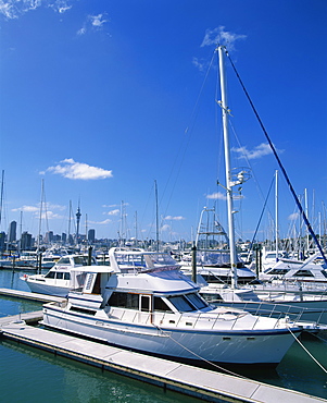 Boats in the Westhaven yacht marina in the city of Auckland, City of Sails, in the North Island of New Zealand, Pacific