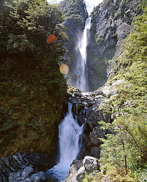 Devils Punchbowl Falls, 131m high, on walking track in mountain beech forest, Arthur's Pass National Park, Southern Alps, Westland, South Island, New Zealand, Pacific